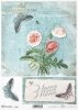 home sweet home, mak, maki, makówki, makowe kwiaty, kwiat, ogród, lato, motyl, stary dokument, R985, home sweet home, poppy, poppies, poppy flower, garden, summer, butterfly, old document, home sweet home, Mohn, Mohnblumen, Blume, Garten, Sommer, Schmette